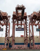 Three containers hang from cranes at Terminal 46 in Seattle. The middle container has a “Welcome to the Pacific Northwest” message to FIFA World Cup visitors, while the outside containers have the Belgium and Senegal flags.