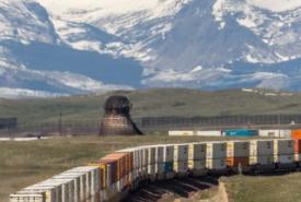 container train